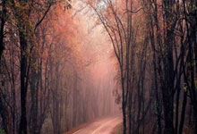 领取丧葬补助金需要哪些资料