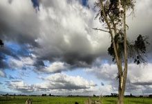 领取丧葬补助金需要哪些资料