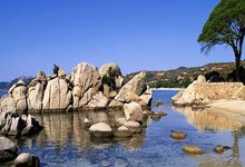 丧葬费由哪个部门发放依据